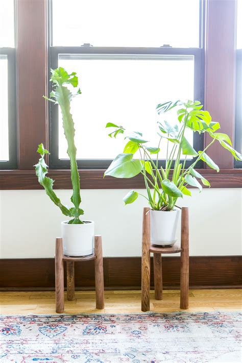 How To Display Houseplants 65 Of Our Favorite Plant Display Ideas