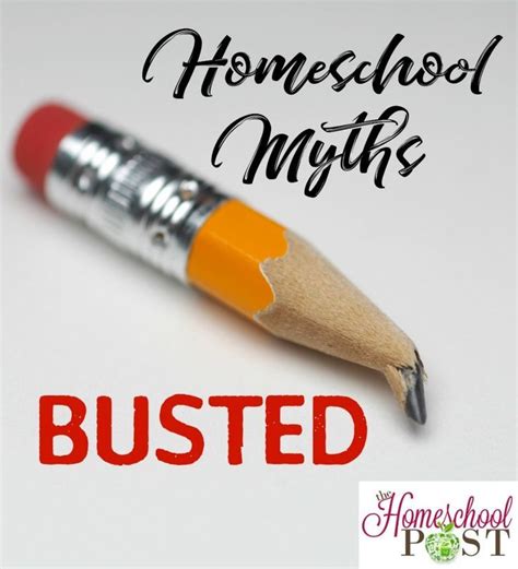 Homeschool Myths Busted Heart And Soul Homeschooling Homeschool