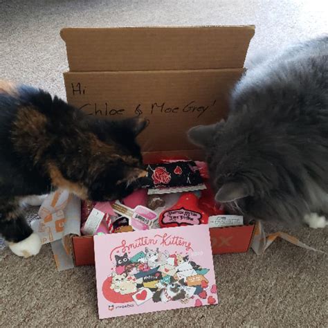 It's perfect for households with one kitty. meowbox - A monthly cat subscription box filled with fun ...