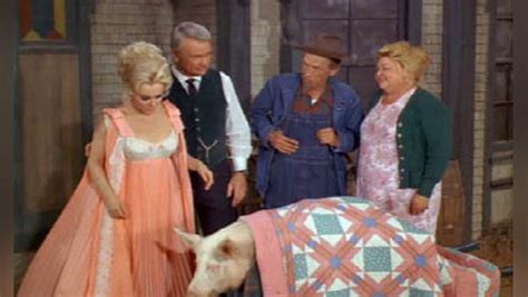 Green Acres Send A Boy To College 1966 Cast And Crew Allmovie
