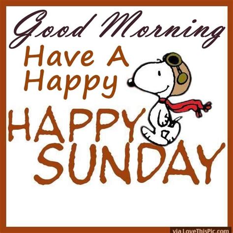 Snoopy Good Morning Have A Happy Sunday Pictures Photos And Images