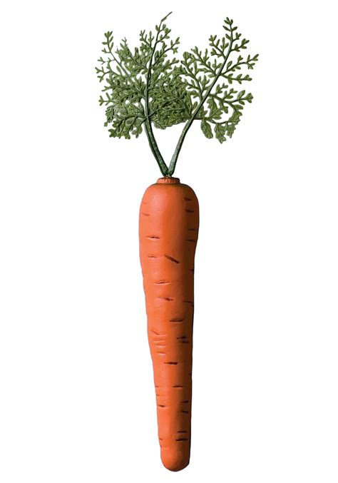 Bunny Carrot Plastic Accessory