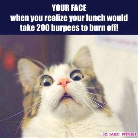 Fitness Cat Gym Workout Book Humor Book Memes Humor