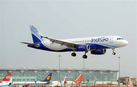 How Indigo Became Indias Largest Carrier In Just 6 Years
