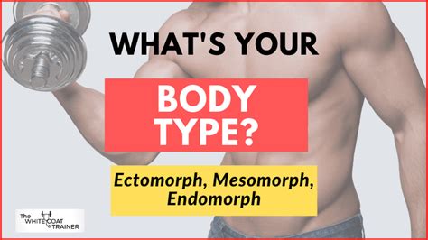 Whats My Body Type Workout Plans For Ecto Meso And Endomorphs The
