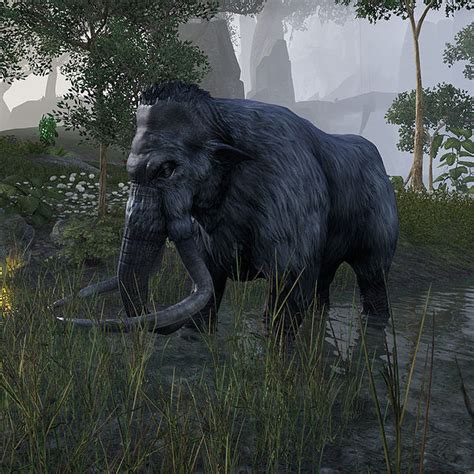 Onlinemammoth The Unofficial Elder Scrolls Pages Uesp