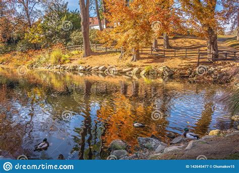 Autumn Nature Scene With Beautiful Lake Stock Image