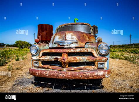 Abandoned Old Trucks Are Left In Fields Along Adobe Road Sonoma