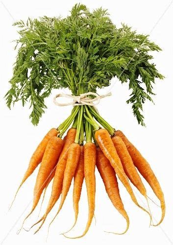 Pin by Laura O'Brien on Carrots for Sam | Carrots, Year of the rabbit ...