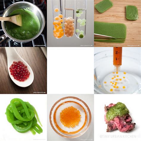 Molecular Gastronomy Recipes For Beginners Bryont Blog