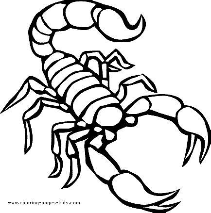 For boys and girls kids and adults teenagers and toddlers preschoolers and older kids at school. Reptile Coloring Pages Coloring Pages