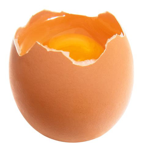 Collection Of Cracked Egg Png Hd Pluspng