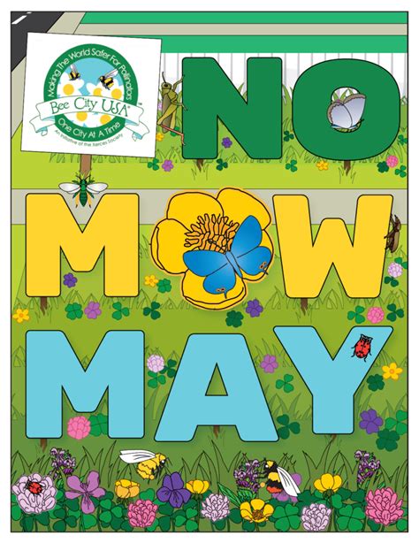 No Mow May Gives Bees Butterflies A Chance Big Green Purse