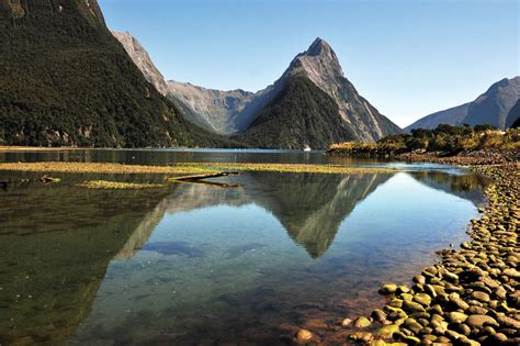 Ecotourism Destinations New Zealand Goway
