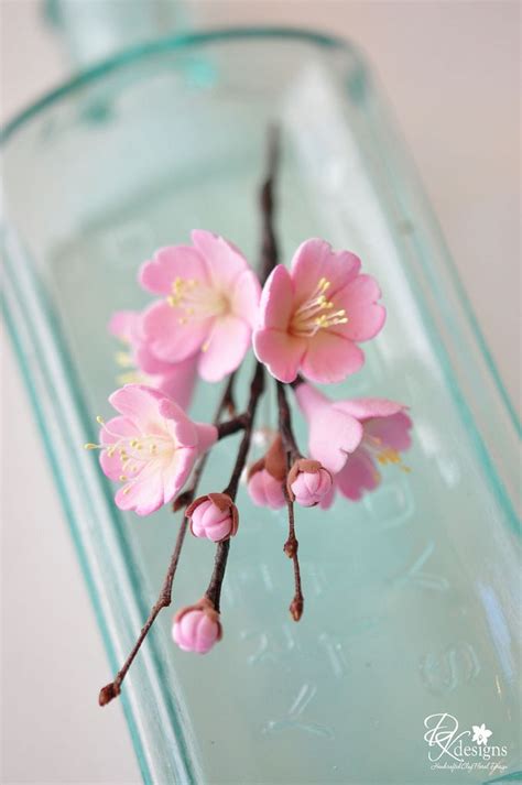Más Tamaños Cherry Blossom Bout2 Flickr ¡intercambio De Fotos