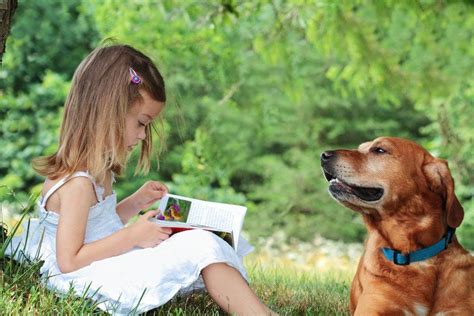 3 Event Ideas For Animal Shelters To Do With Kids
