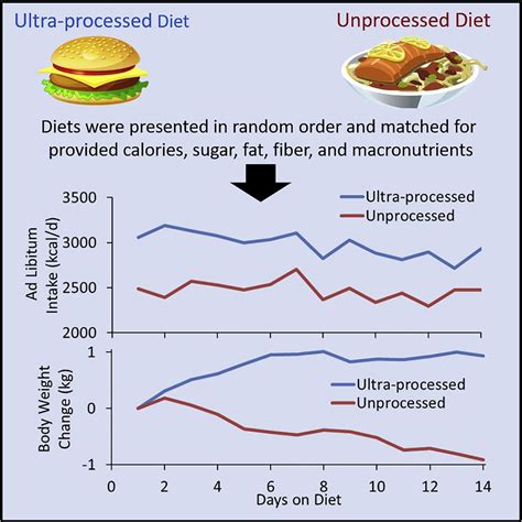 Studies Suggest Eating Ultra Processed Foods Leads To Weight Gain And