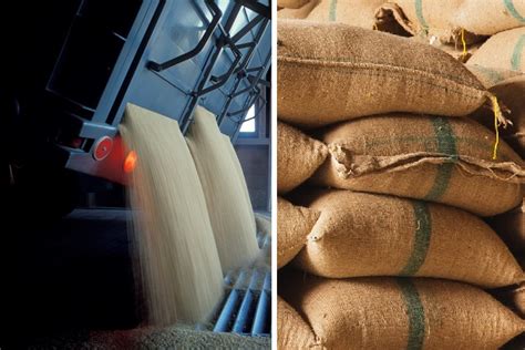 Продажба на едро и дребно пшеница, кориандър и семена Ямбол
