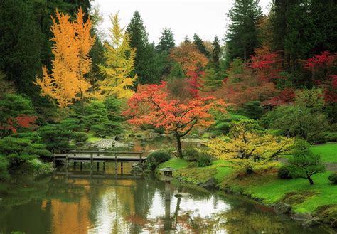 Seattle Japanese Garden Ii Photograph By Ryan Mcginnis Pixels