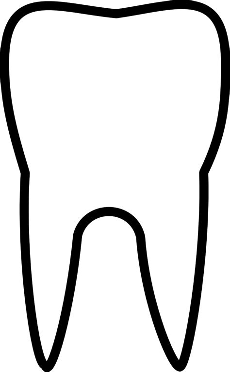 Tooth Molar Dental Free Vector Graphic On Pixabay