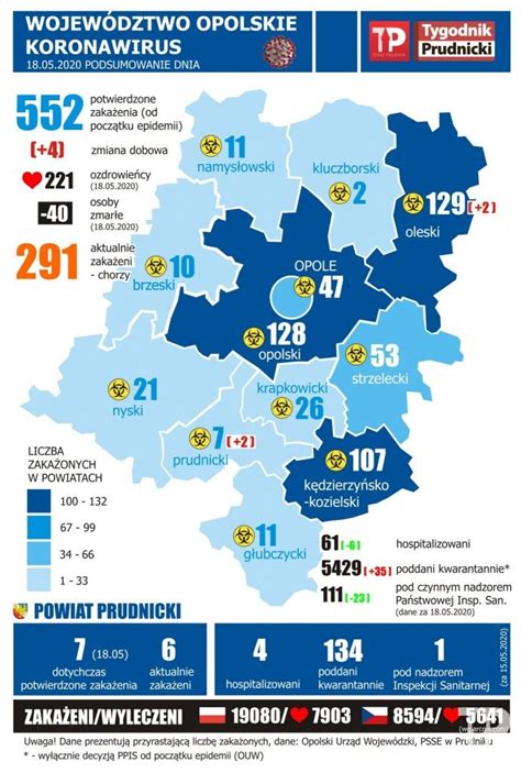 Pojawiają się kolejne teorie, raporty i szokujące informacje. Koronawirus: Raport dzienny - mapa z podziałem na powiaty ...