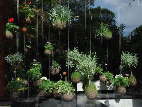 Top 10 vertical gardens ideas on pinterest. Creative garden ideas found on Pinterest - Philly