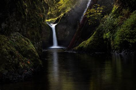 Log Sun Rays Waterfall Calm Stream Nature River Wet Moss Hd Wallpaper