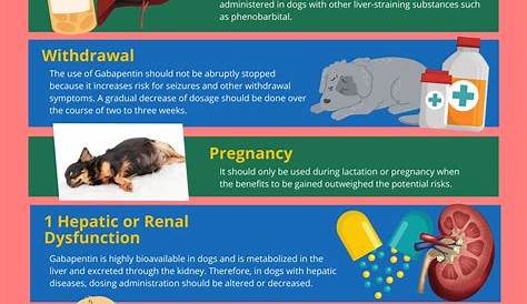 Ultimate Guide To Understanding Gabapentin For Dogs | Bark For More