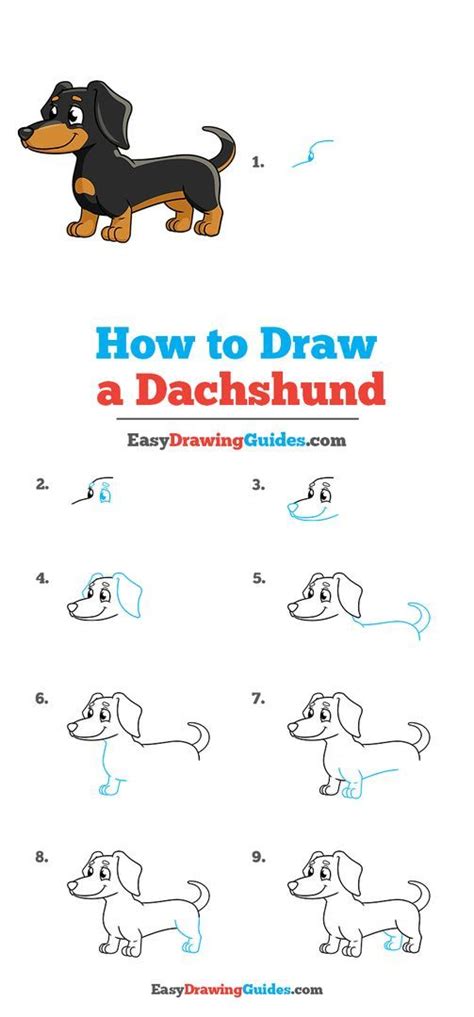 How To Draw A Wiener Dog Step By Step At Drawing Tutorials