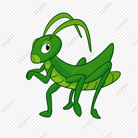 Green Grasshopper Png Vector Psd And Clipart With Transparent