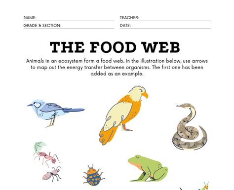 Using Food Chain Worksheets To Teach Kids The Circle Of Life