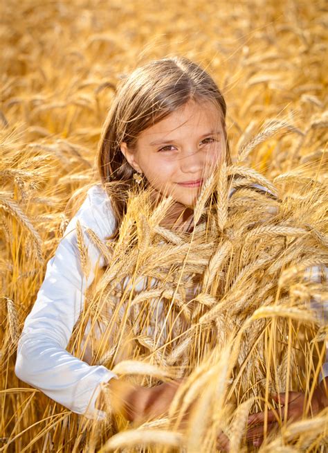 Little Girl In Wheat Field Stock Photo 03 Free Download