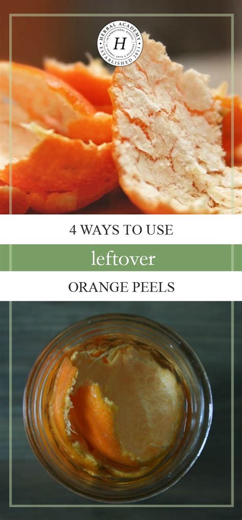 4 Ways To Use Leftover Orange Peels Herbal Academy