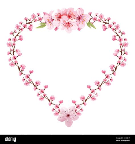Heart Shaped Floral Wreath With White Background Core Cherry Blossoms