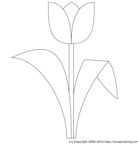 The native range of the species includes southern europe, north africa, and asia from anatolia and iran in the west to northeast of china. Tulip coloring page