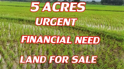 Acres Land For Sale Compact Property Sales Full Information For