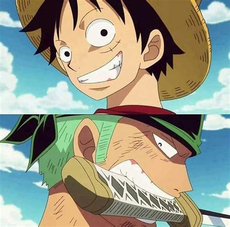 Luffy And Zoro Manga