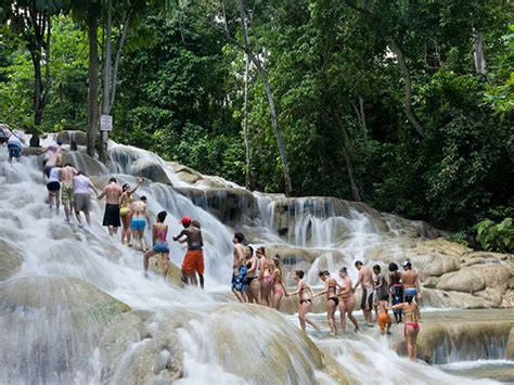 Dolphin Encounter And Dunns River Falls Climb