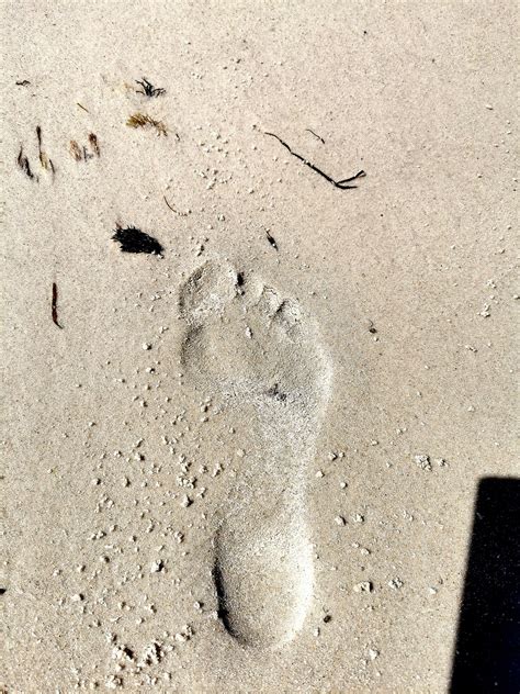 Footprint Barefoot Sand Free Photo On Pixabay Pixabay