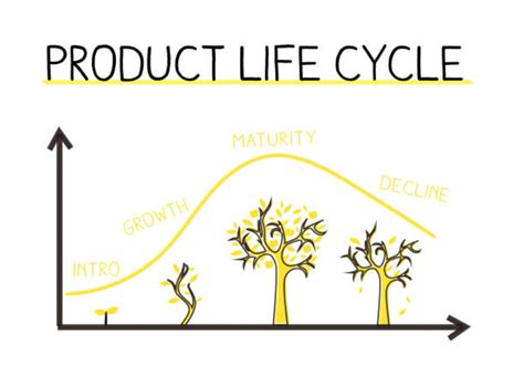 Introduction To The Product Life Cycle Examples And Stages