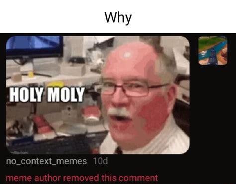 Why Holy Moly Nocontextmemes Meme Author Removed Th S Comment Ifunny