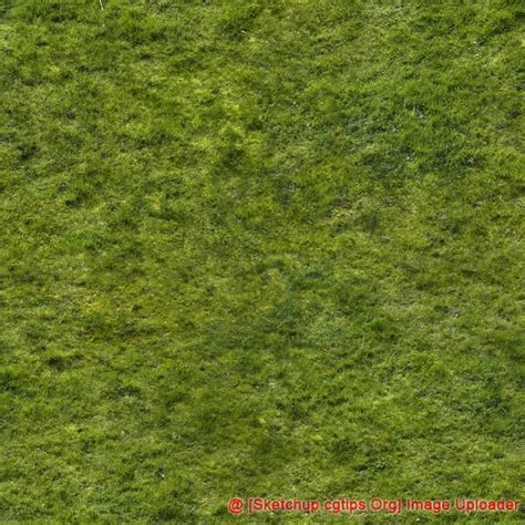 1926 Grass Textures Sketchup Model Free Download