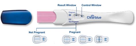 If you are not pregnant, a single window test would only show the single test line. Rapid Detection Pregnancy Test: Fast Results - Clearblue
