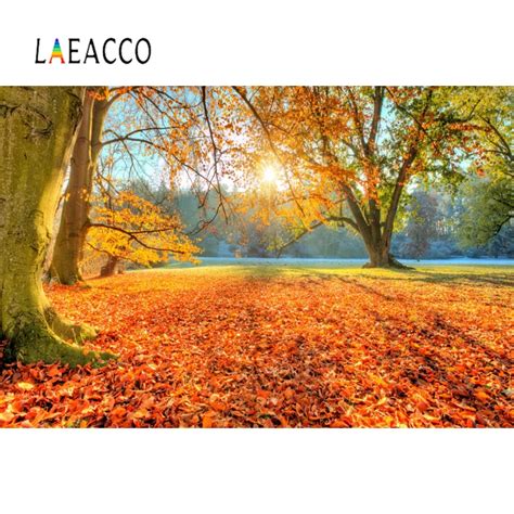 Laeacco Autumn Forests Landscapes Sunlight Pathway Portrait Scene