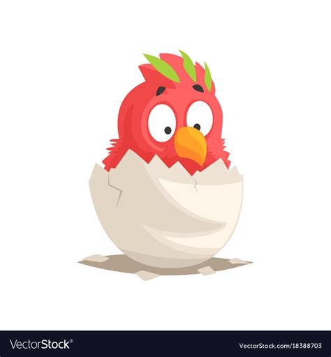 Funny Newborn Red Parrot In Broken Egg Shell Nestling Hatching From