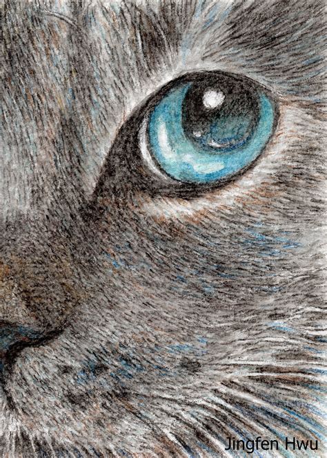 Cat Drawing Art Print Eye Talk Of A Grey Cat Lover T Unique Card