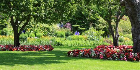 Top Ten Tips For Creating A Beautiful Garden