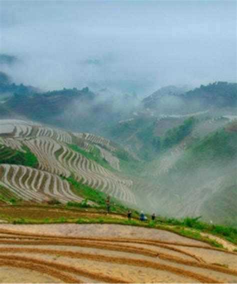 Jinkeng Terraces Hiking Tour Longji Rice Terraces Tours Visit Guilin