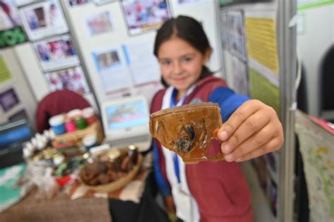 Comienza La 55° Feria Provincial De Ciencias Y Tecnología Mincyt