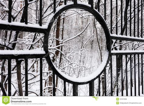 Silent Snow Covered Urban Park In Winter Stock Photo Image Of Scenic